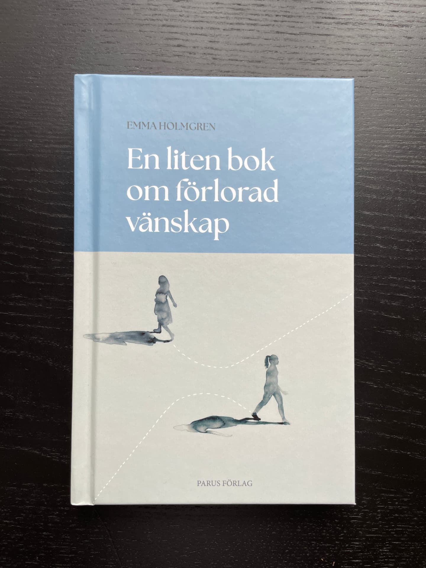 Fotografi av En liten bok om förlorad vänskap av Emma Holmgren